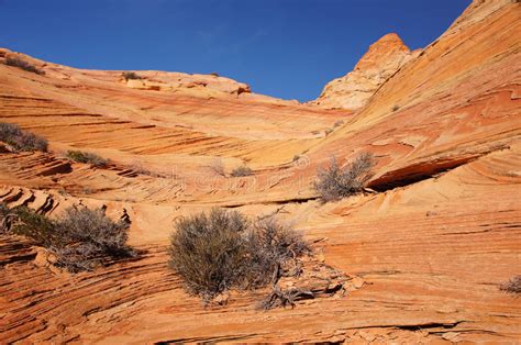 Paria Canyon Vermilion Cliffs Wilderness Arizona Usa Stock Photo