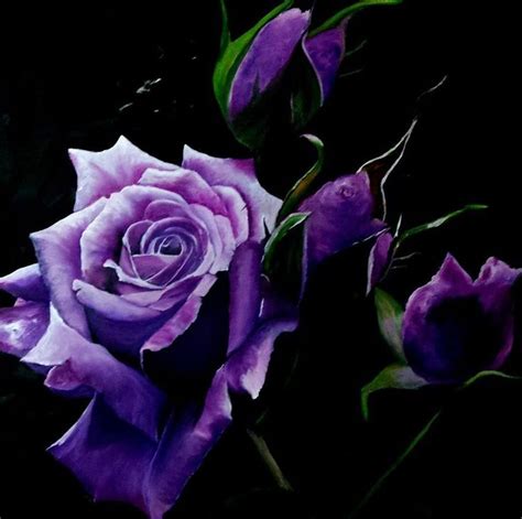 More Beautiful 130130 Cm Black Rose Flower Purple Roses Beautiful