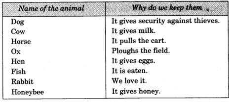 Ncert Solutions For Class 3 Evs Our Friends Animal Learn Cbse