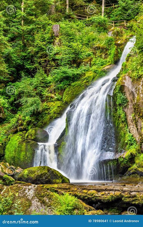 Triberg Falls One Of The Highest Waterfalls In Germany Stock Image