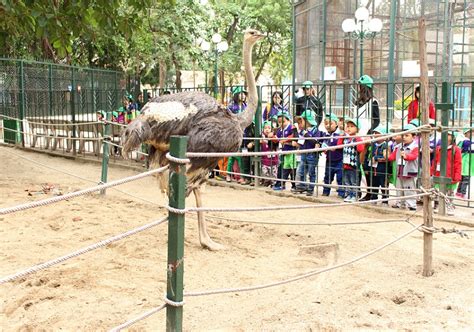 Nhận phiếu yêu cầu mua hàng từ các bộ phận có liên quan trong nhà hàng; Hà Nội có gì chơi? 30 địa điểm vui chơi ở Hà Nội xịn xò ...