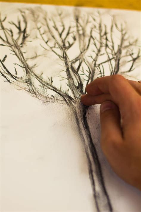 Teaching Kids How To Draw From Life How To Draw A Tree Art For Kids