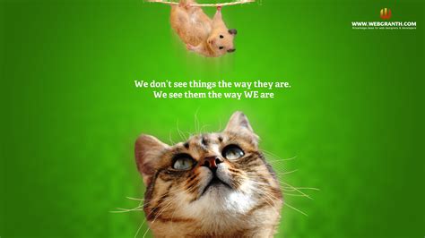 Funny Animal Desktop Backgrounds 61 Pictures