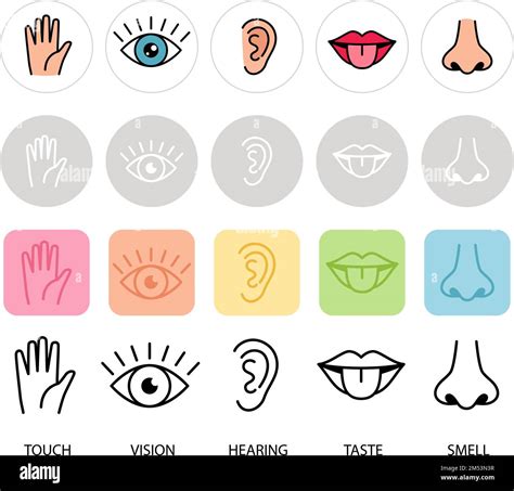 Human Feelings Five Senses Vector Illustration Lips Hand Nose Eye And Ear Icons Smell