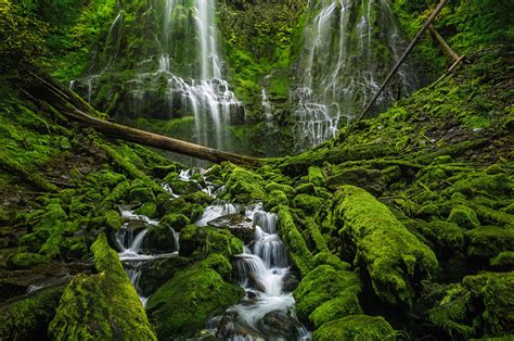 Photographing Proxy Falls Oregon Photographers Trail Notes