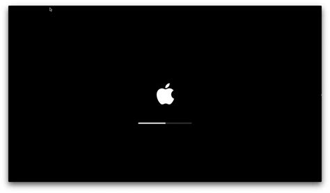 Understanding the macOS Boot Process | OpenCore Install Guide