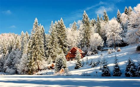 Cabin In Winter Forest Hd Wallpaper Background Image 1920x1200
