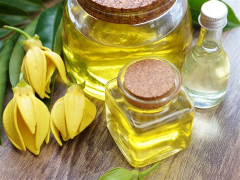 At that time i had never even heard of aromatherapy, but i just loved the aroma as i walked into the room (it was being burnt in a diffuser), and i wanted to know what it was! 8 Surprising Benefits of Ylang Ylang Essential Oil ...