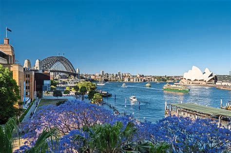 Seasons in australia are not as clearly defined as they are on other continents. Jacaranda Blooms Turn Sydney Into A Sea Of Purple ...