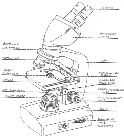 Printable Parts Of A Microscope