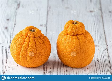 Large Wrinkled Fresh Orange On A Rustic Background Ready To Peel