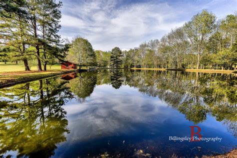 Reflecting Alabama Pond Cliff Billingsley On Fstoppers