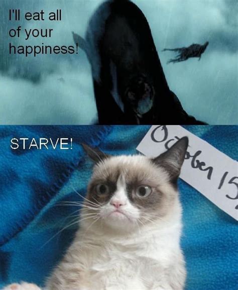 Despite these cats didn't grace the silver screen like monty and grumpy and just live their ordinary feline life, they still manage to make. Nice try, dementors | Grumpy cat humor, Grumpy cat, Grumpy ...