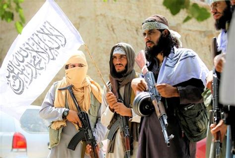افغان طالبان کا افغانستان کے 85 فیصد علاقے پر قبضے کا دعویٰ Urdu News