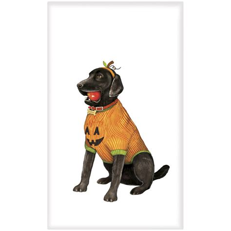 Black Lab In Halloween Costume Towel Dog In Pumpkin Costume