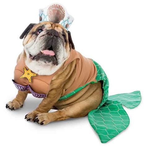 Zelda Mermaid Halloween Dog Costume Baxterboo