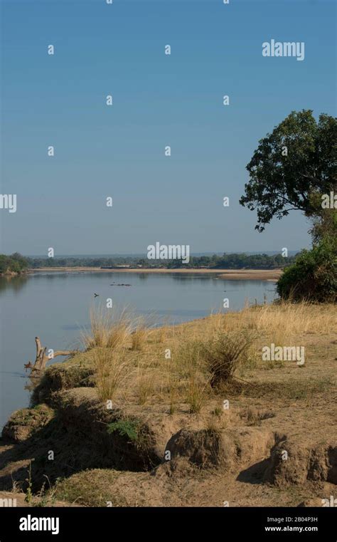 View Of Luangwa River In South Luangwa National Park In Eastern Zambia