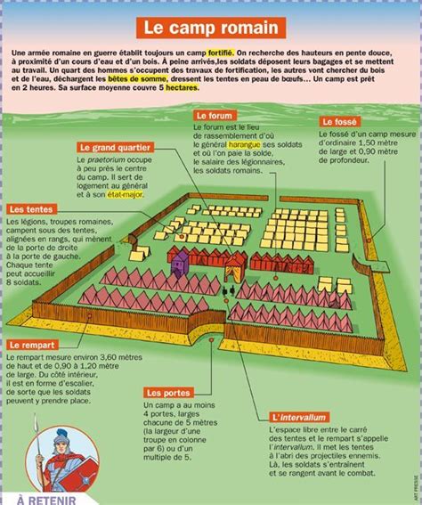 Educational Infographic Le Camp Romain