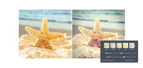 How To Use Photo Filters To Enhance Your Images