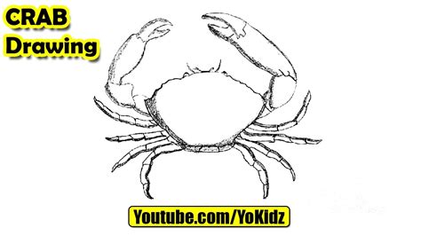 Om een grappige krab te maken, houd je mobiele ogen op de tekening en gebruik je pijpenragers om de antennes te maken. How to draw a Crab - YouTube