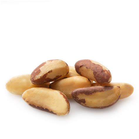 Jumbo Raw Brazil Nuts Bulk Brazil Nuts Bulk Nuts And Seeds Oh Nuts