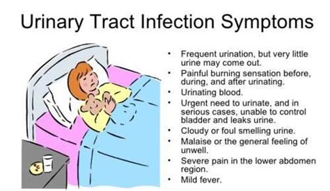 Urinary Tract Infections Uti In Women Symptoms And Prevention