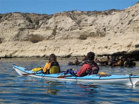 Sea Kayaking In Patagonia Chile Responsible Travel