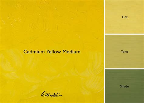 Gamblin Oil Paint Color Chart