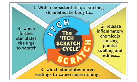 Stop The Itch Scratch Cycle Dermoscribe