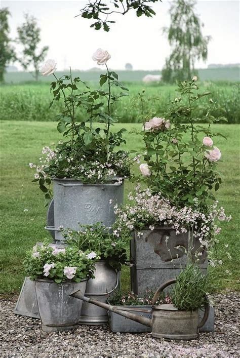 Galvanized Containers Container Gardening Rustic Gardens Garden