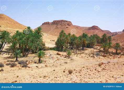 African Desert Landscape Stock Photo Image Of Perspective 6763910