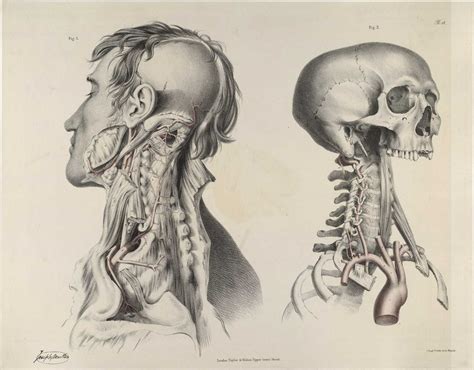 Historical Anatomies On The Web Richard Quain Home