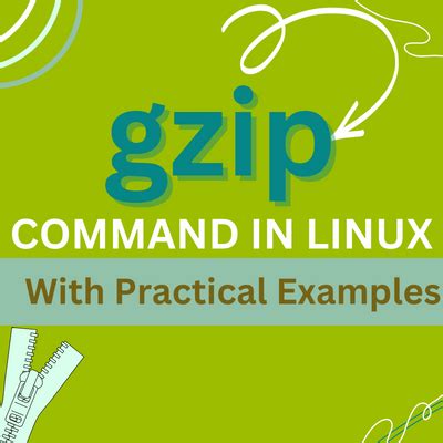 The Gzip Command In Linux Practical Examples