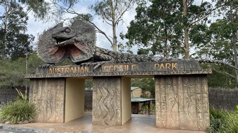 Seeing Fascinating Animals At Australian Reptile Park A Travelling Jack