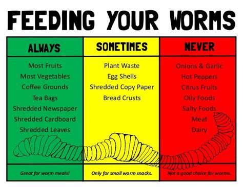 Feeding Worms