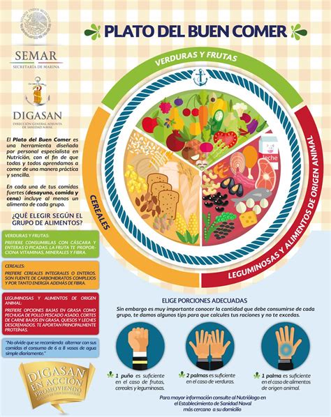 Que Contiene El Plato Del Buen Comer Como Funciona Y Beneficios Plato