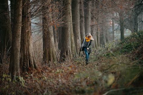 フリー写真画像 若い女性 冬 森の小道 一人で ウォーキング 霧 丘陵地 木材 女の子 ツリー