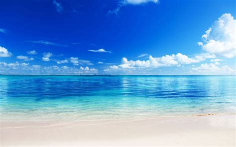 🔥 Download Wallpaper Sea Beach Horizon Sand Tropics Ultra Hd 4k By