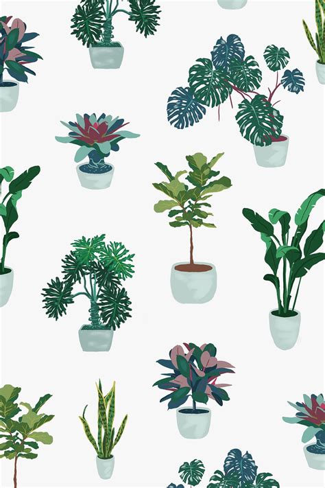 House Plant On Behance Plant Drawing Plant Illustration Plants