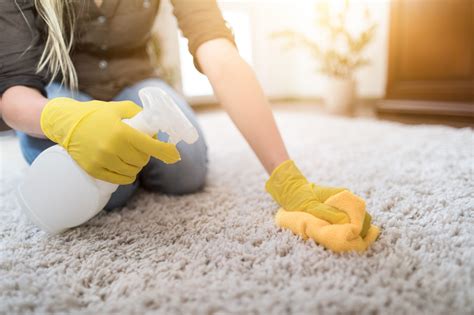Here Is How You Can Refresh Your Carpets Like A Pro