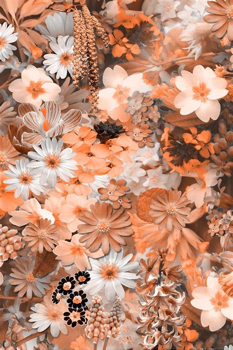 Pastel Aesthetic Flower Hd Phone Wallpaper Pxfuel