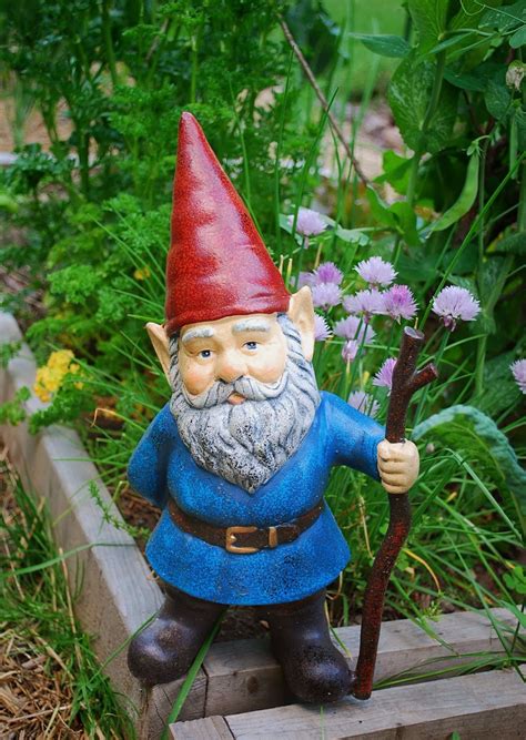 garden gnome Google Search Садовые гномы Декор для чаепития Гномы