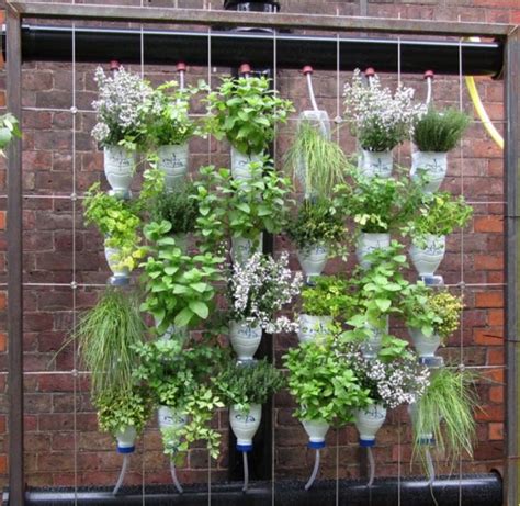 15 Diy Plastic Bottle Planters That You Havent Seen Before