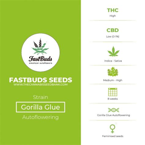 Gorilla Glue Auto Fastbuds Seeds The Cannabis Seedbank
