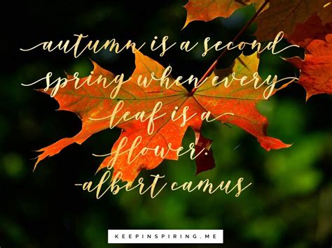 Quotes About Fall