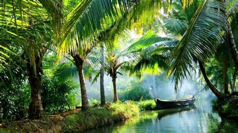 Find the best time to the best time of year to visit cochin in india. Top 30 Best Tourist Places to Visit in Kerala