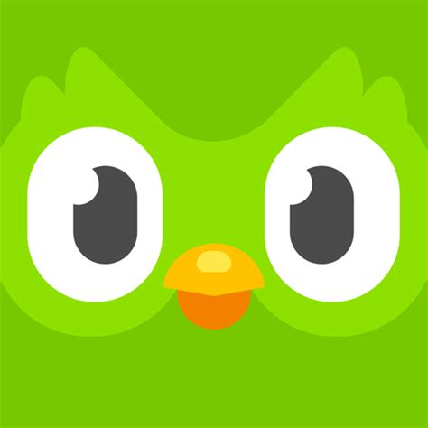 Duolingo Ios Icon Gallery