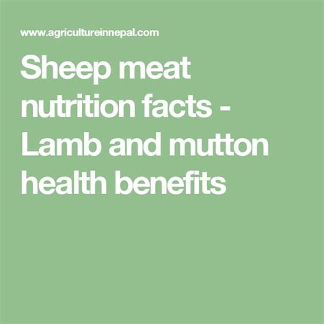 Sheep Meat Nutrition Facts Lamb And Mutton Health Benefits Raising