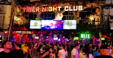 Tiger Night Club Guest Friendly Hotels Of Thailand