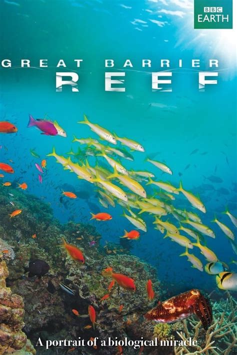 Great Barrier Reef Flixtrz